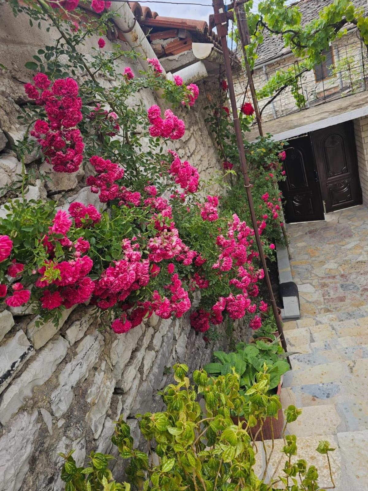 Luigi Guest House Gjirokastër المظهر الخارجي الصورة