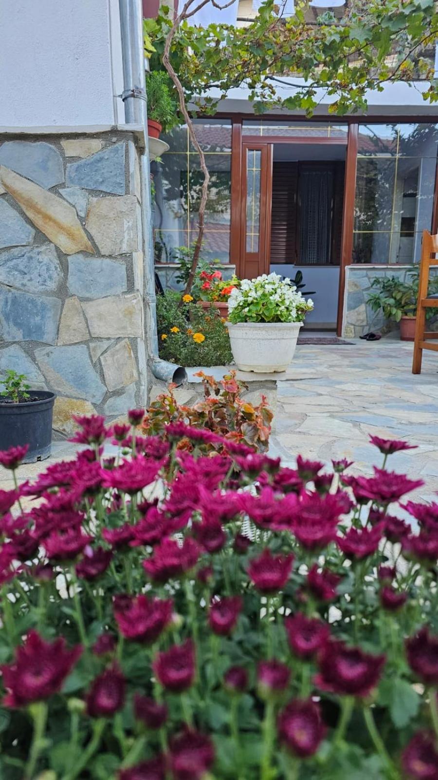 Luigi Guest House Gjirokastër المظهر الخارجي الصورة